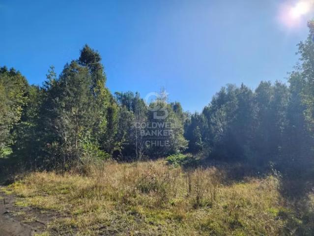 Parcela 10.000 m² cerca de Volcán Calbuco con factibilidad. 0 dormitorios por 1650.00 en Puerto Varas