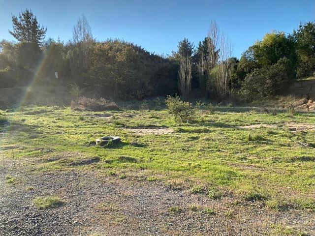 PARCELA 11000M2 YUMBEL