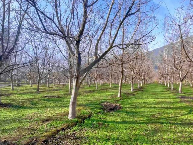 Parcela 5000 m2 Lampa