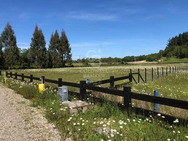 Parcelas a orillas del río Maullín ¡Sin Comisión! 0 dormitorios por 1600.00 en Puerto Varas