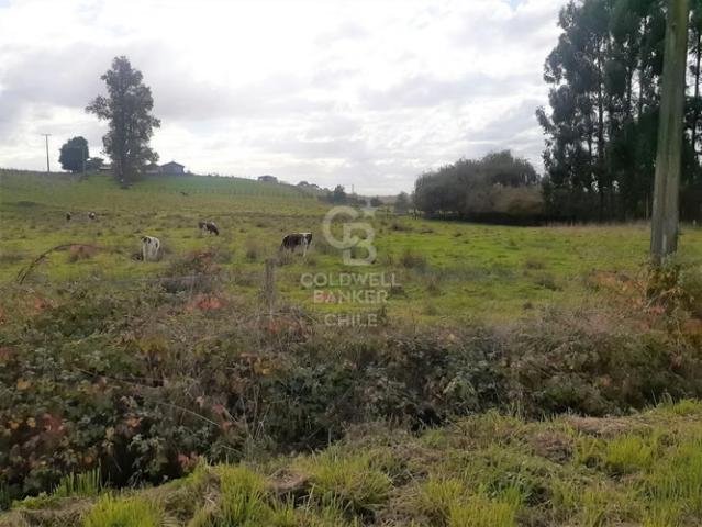 Privilegiado Condominio a 10 minutos de Osorno. 0 dormitorios por 102000. 00 en Osorno