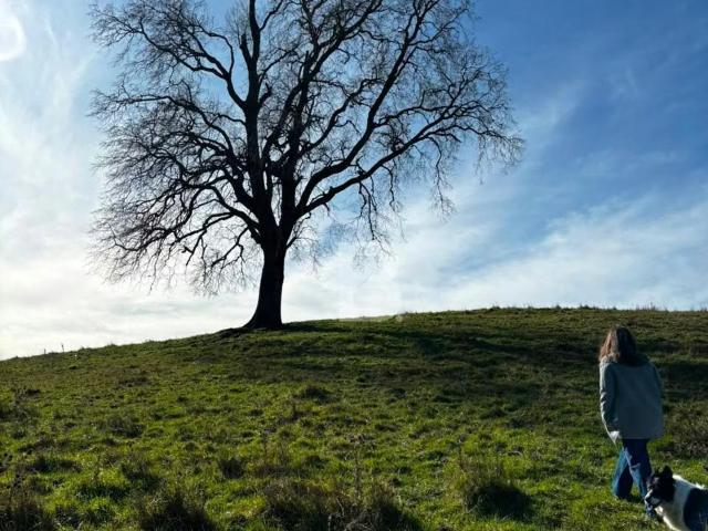 Parcelas Agrícolas Chauquén: Vista al Lago Panguipulli | 0 dormitorios por 980.00 en Panguipulli