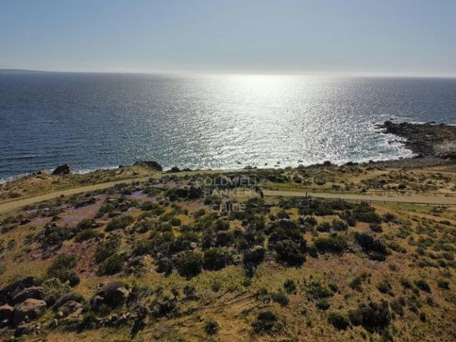 Parcelas de 5000m2 con vista al mar en Exclusivo Condominio | 0 dormitorios por 5500.00 en Coquimbo