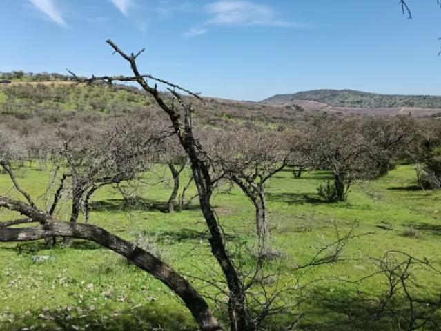 Parcelas En Venta Lago Rapel | 0 dormitorios por 42000. 00 en Las Cabras
