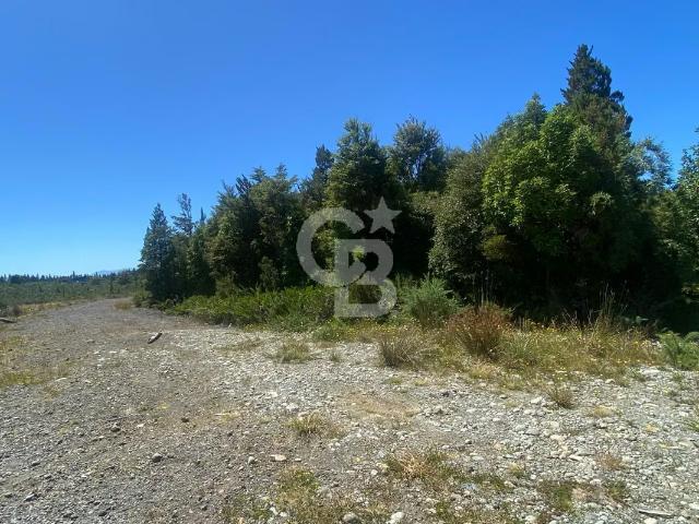 Parcelas en colonia tres puentes, vista al Volcán. 0 dormitorios por 34990. 00 en Puerto Varas