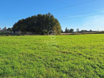 Osorno, Provincia de Osorno, Región de Los Lagos