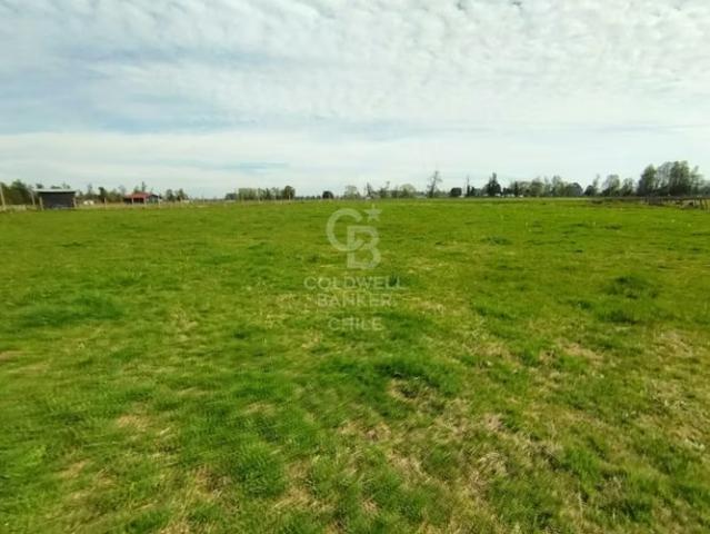 Parcelas en sector Tacamo | 0 dormitorios por 37000. 00 en Osorno