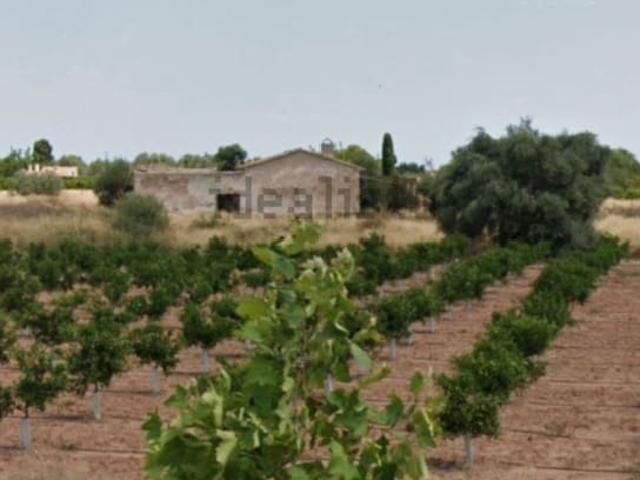 Pareado en venta en Burriana / Borriana, Castellón Costa Azahar