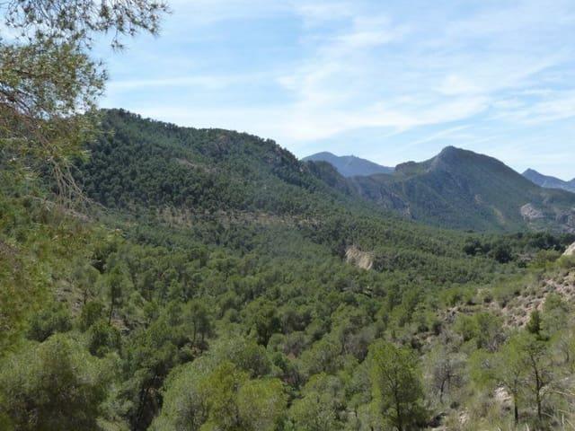 Pareado en venta en Blanca, Murcia