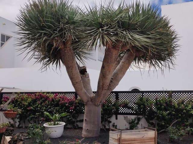 Pareado en venta en Costa Teguise, Lanzarote
