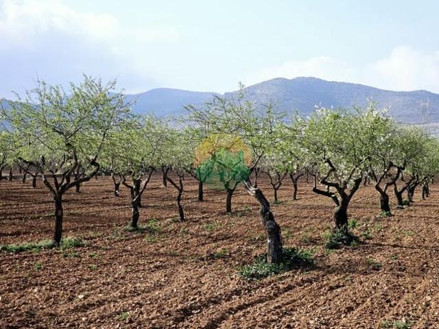 Pareado en venta en Las Palas, Murcia Costa Cálida