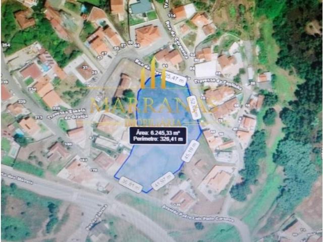 Paredes Paredes 100362347