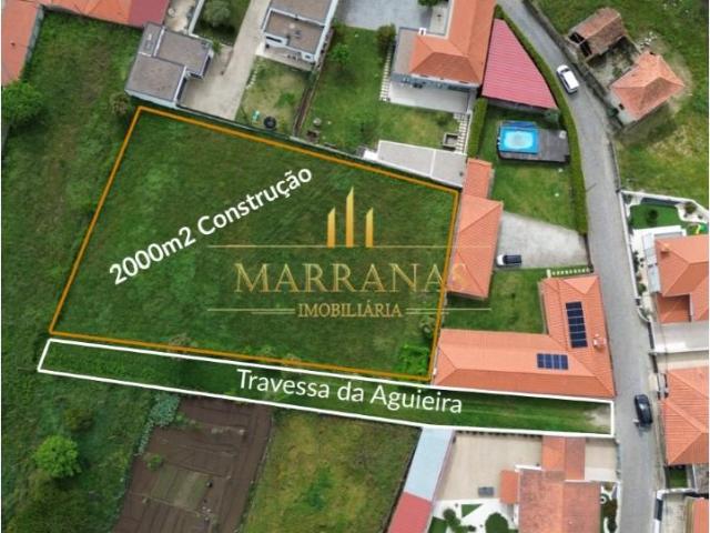 Paredes Paredes 101226013