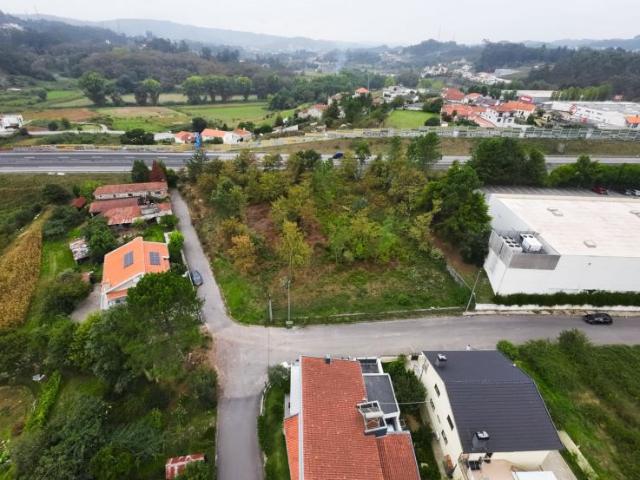 Paredes Porto 106074610