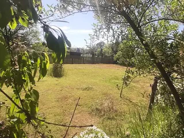 Parigné l'Evêque 72250 Programme neuf maison neuf à vendre 4 pièces