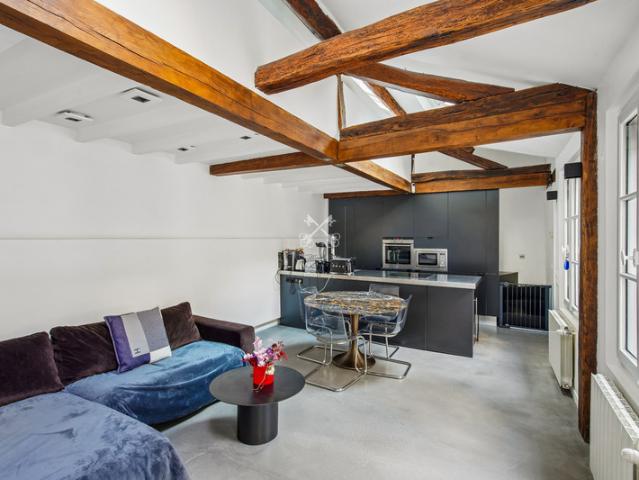 Paris 3 / Le Marais: charmant 3 pièces en duplex au dernier étage