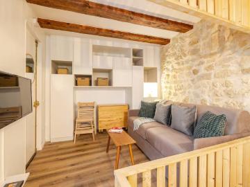 Paris city center apartment