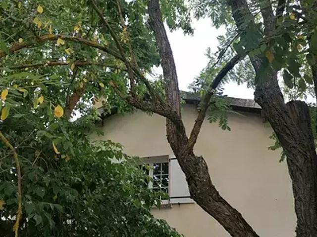 Parisot 81310 Achat / Vente maison 10 pièces t10