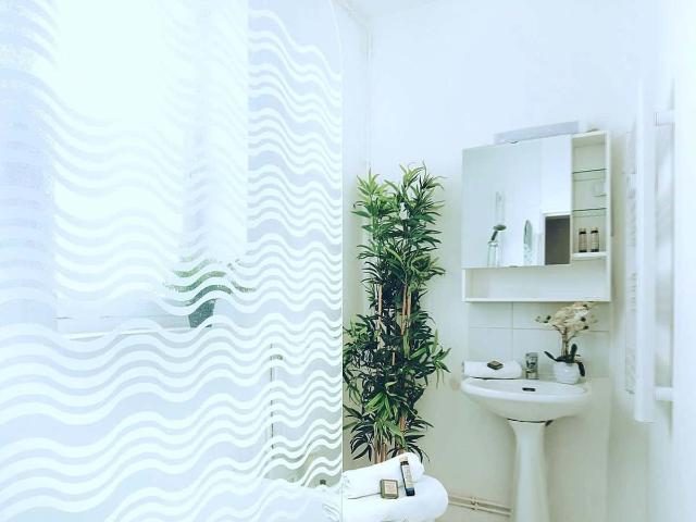 Parisian Family flat