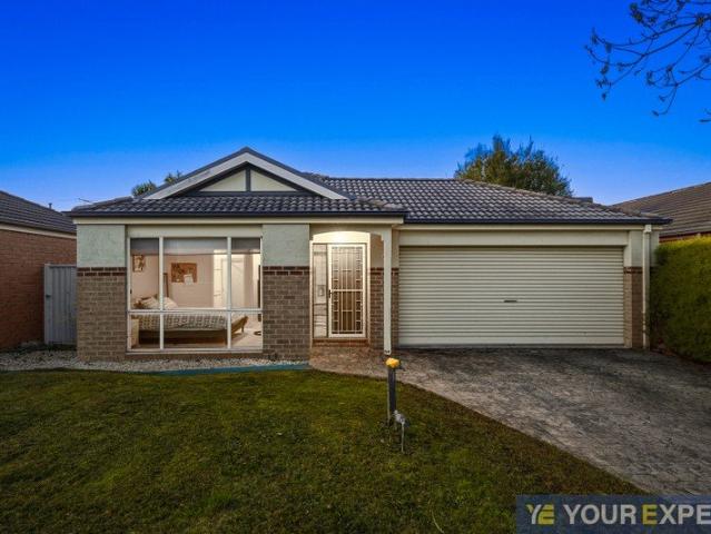 Park Facing Family Home with Multiple Living Zones & Exceptional Outdoor Entertaining!
