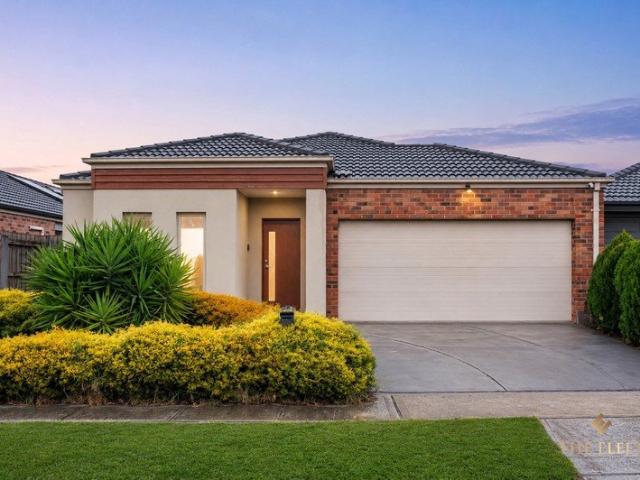 Park Facing Family Home on a Massive Land Allotment with Exceptional Lifestyle Appeal!