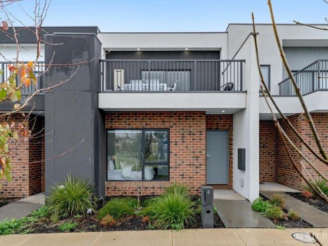Park Facing Perfection: Modern Double Storey Living & Entertaining