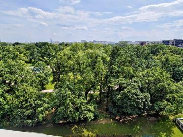 Park Popowice, Wys. Standard, Rzeka i Park z Okna