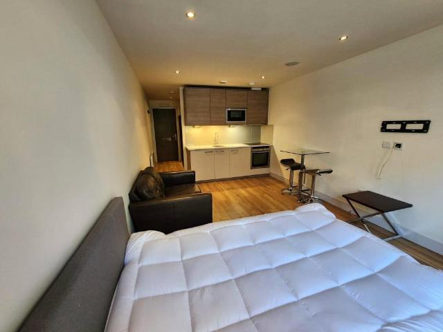 Park Street, London, SW6 Studio to rent £2,000 pcm £462 pw