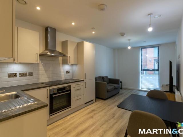 Park View, Darwin Street, Birmingham. 1 bed apartment to rent £900 pcm £208 pw