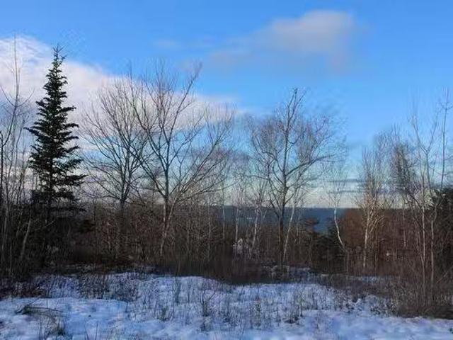 Parker Mountain Road, Parkers Cove, NS, B0S 1A0 vacant land.