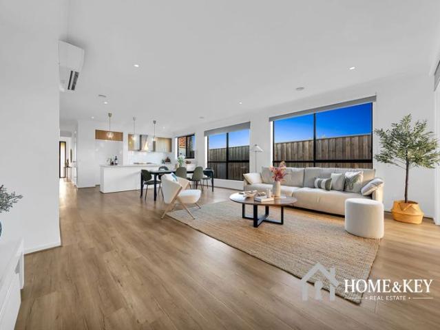 Parkfront Family Living with a Large Backyard in Donnybrae Estate