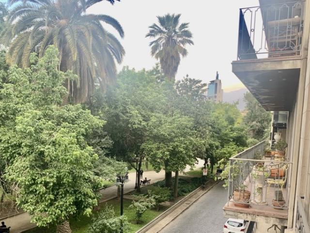 PARQUE FORESTAL