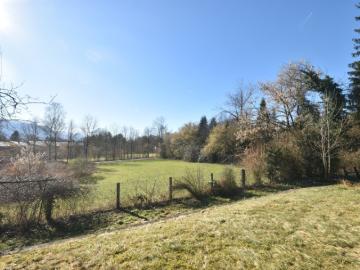 PARSCH Traumhaftes Baugrundstück mit Altbestand und Gebirgsblick in Bestlage'