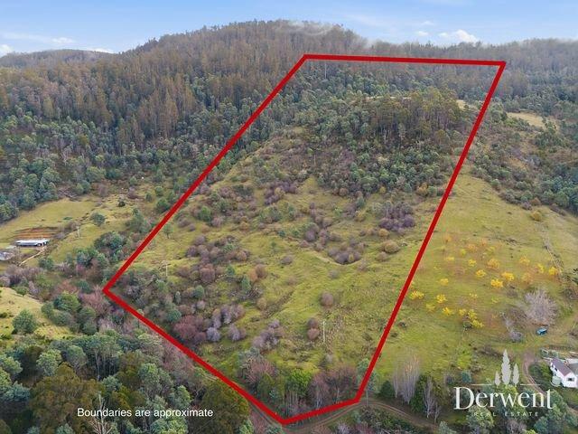 Pasture, Bushland and Big Country Potential