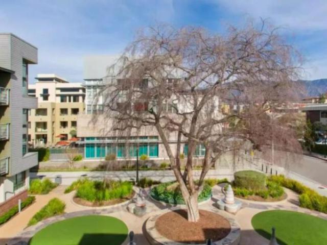 Pasadena CA 91105 LS105356089