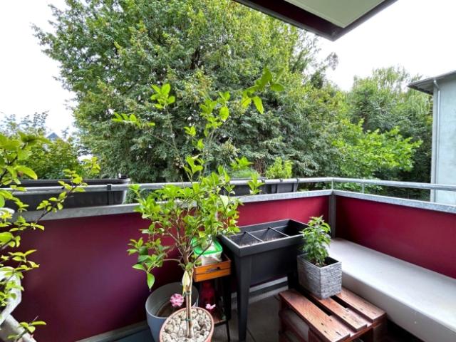 Pasching Westzeile 2 Zimmer Mietwohnung mit ca. 48,53 m² + BALKON