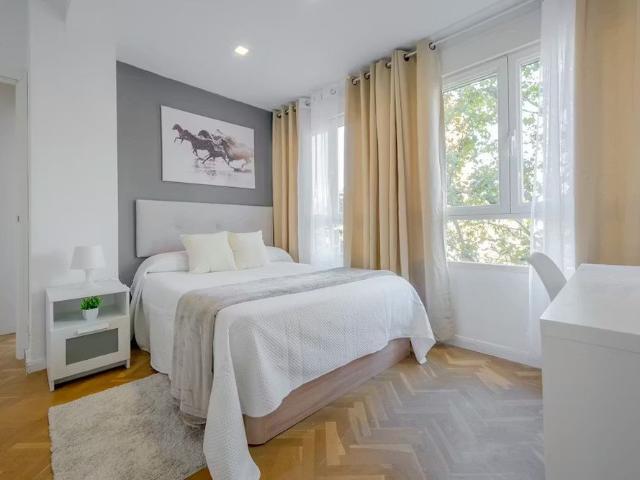 Paseo de la Castellana, Madrid, Community of Madrid 28046
