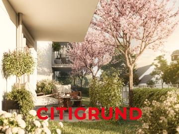 Pasing Exklusiv. Modern. Sonnig