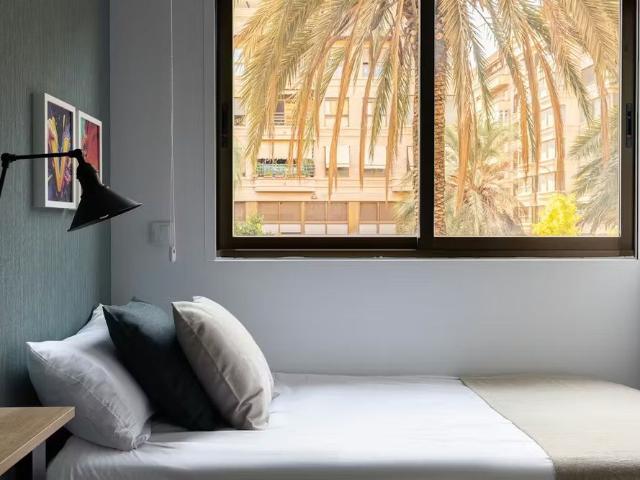 Passeig Facultats, Valencia, Valencian Community 46021