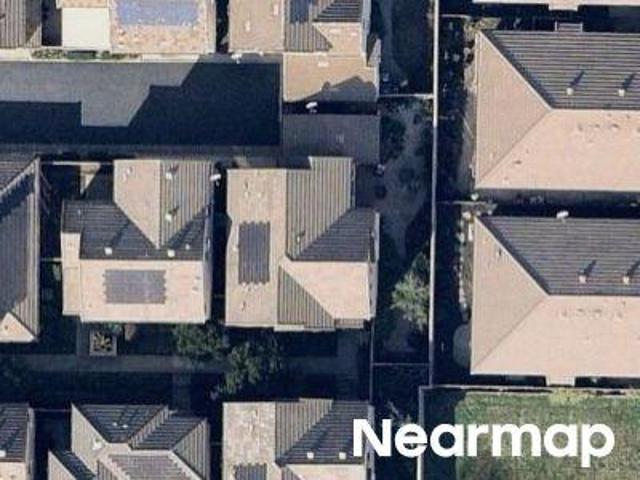 Passiflora Ln