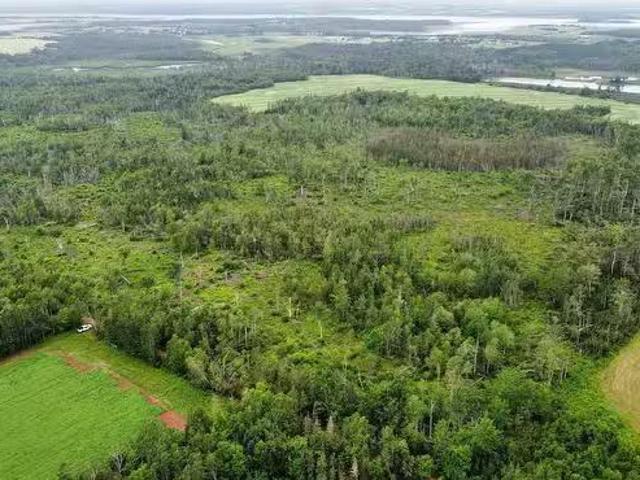 Patucket Road, Tarantum, PE, C0A 1Z0 vacant land for sale L.