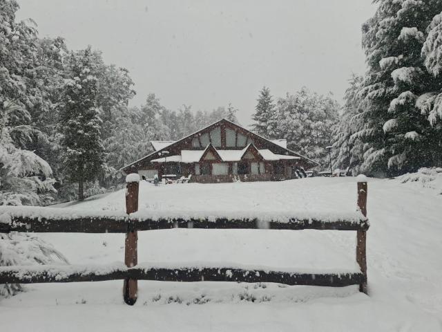 Patagonica Propiedades