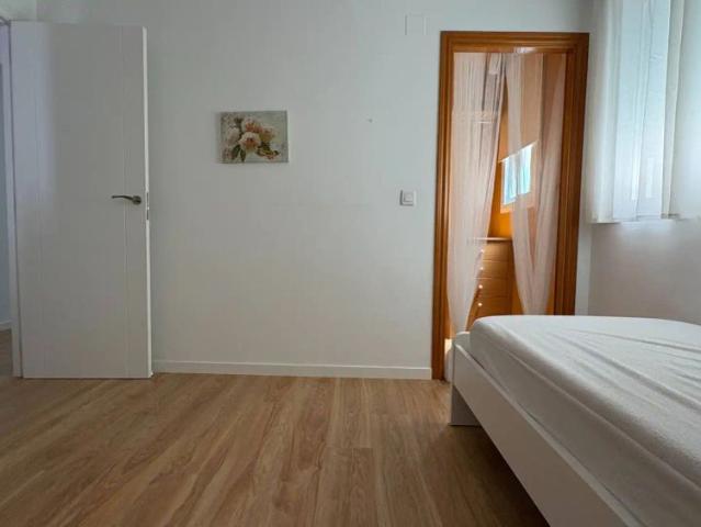 Paterna