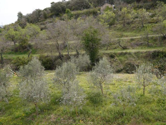 Patrimonio a la venta en Abizanda