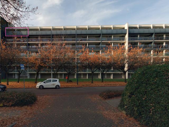 Patrijzenveld 60