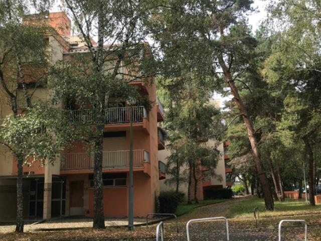 PAU proche FACULTES