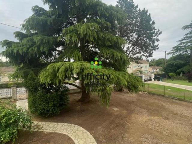 Pavillon