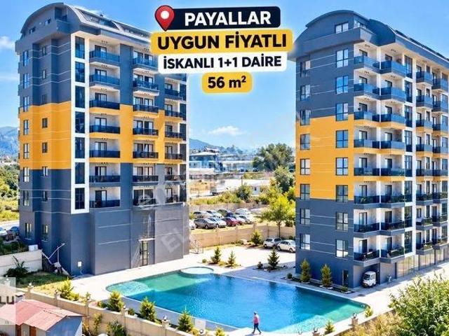 Payallar Da İskanlı Kupon 1+1 Daire !