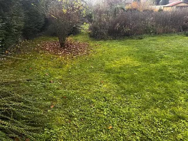 Payns 10600 Programme neuf maison neuf à vendre 6 pièces