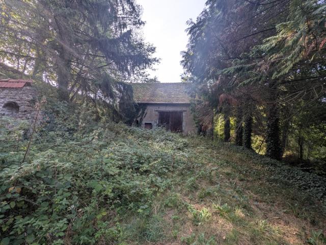 Pays de Tronçais maisonnette isolée en bord de ruisseau